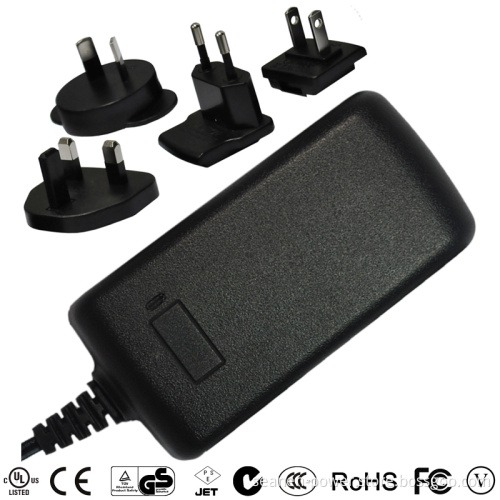 45W Series Switching Power Supply with Multi Plugs